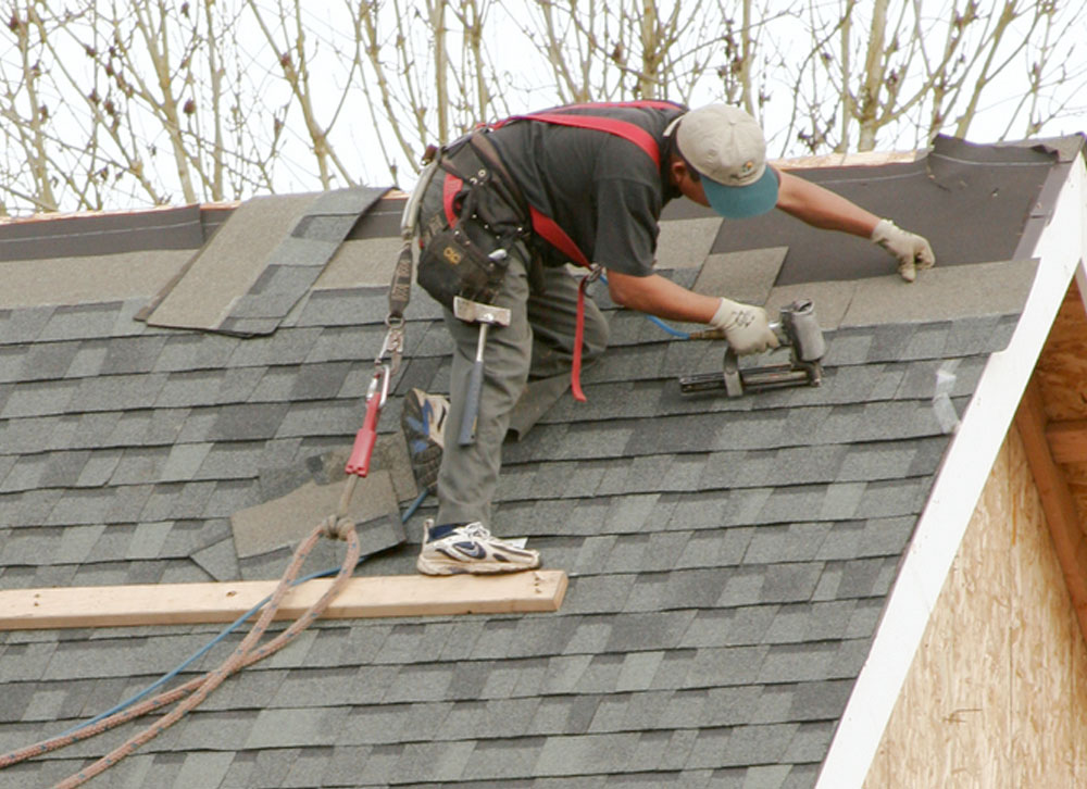 roof3 roof3